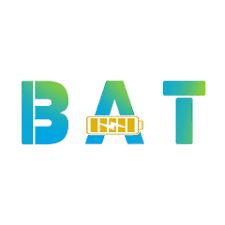 What Is BAT-BMS? The Battery App Behind Delhi's Viral E-Rickshaw Story Explained
